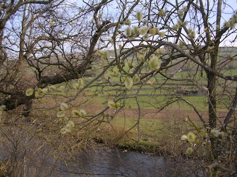 Mixed farming and moorland in the north of England