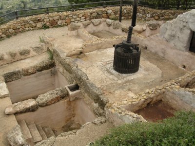 A modern wine press in the region of the four towns